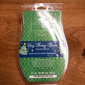Scentsy bricks